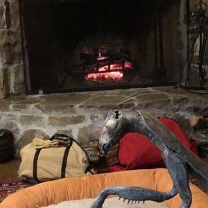 Meet your Posher, Ingeborg